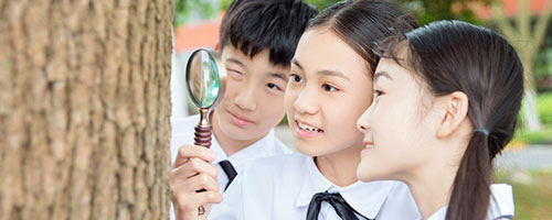 華中科技大學漢語國際教育在職研究生認可度 華中科技大學漢語國際教育在職研究生認可度