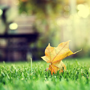 ͬȌW(xu)Tȫy(tng)(ni)ݰʲô