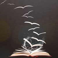 ֻ܅ӷȫо󿼆