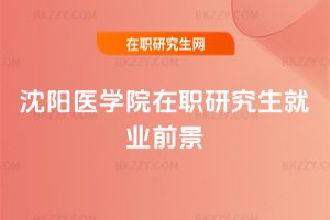 沈陽醫(yī)學(xué)院在職研究生就業(yè)前景
