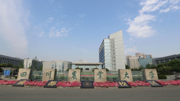 四川在職研究生報考時間在什么時候 四川在職研究生報考時間在什么時候