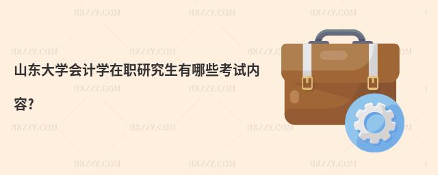 山東大學(xué)會(huì)計(jì)學(xué)在職研究生有哪些考試內(nèi)容?