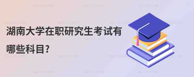 湖南大學在職研究生考試有哪些科目?