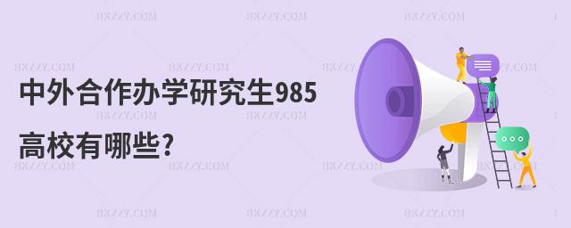 中外合作辦學研究生985高校有哪些?