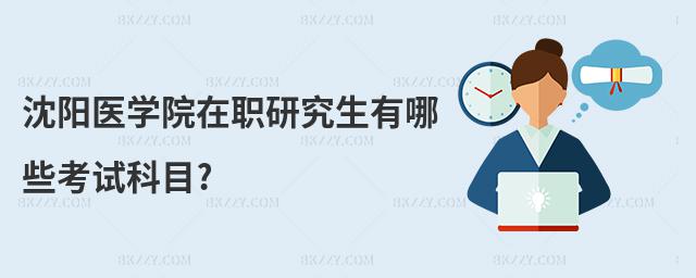 沈陽(yáng)醫(yī)學(xué)院在職研究生有哪些考試科目?