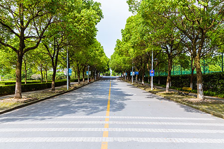 長(zhǎng)江大學(xué)在職研究生申請(qǐng)材料要提交哪些,職業(yè)前景如何? 長(zhǎng)江大學(xué)在職研究生申請(qǐng)材料要提交哪些,職業(yè)前景如何?