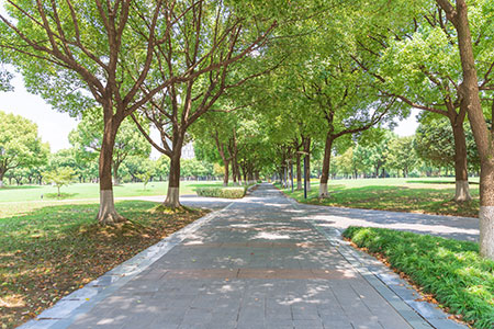 ƿԈ󿼺ϿƼWоЩ