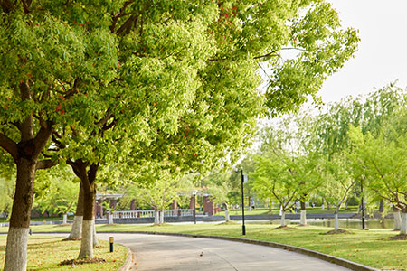 Ϻؔ(jng)WϺࣩоI(y)㑪ᣬ󿼗lʲô