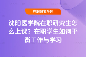 沈陽醫學院在職研究生怎么上課?在職學生如何平衡工作與學習